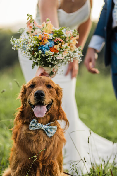 Virginia Greenhouse Elopement