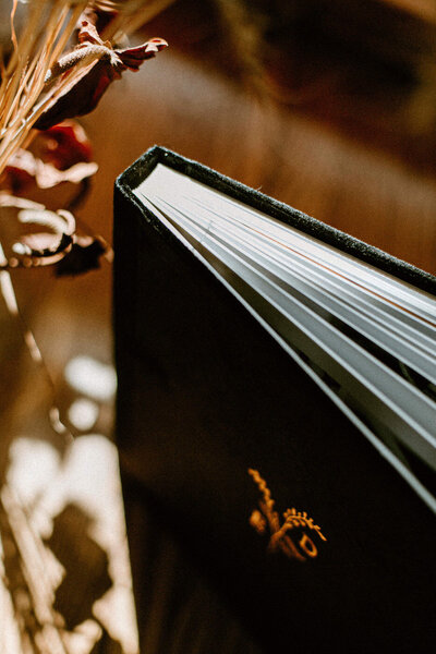black velvet wedding album