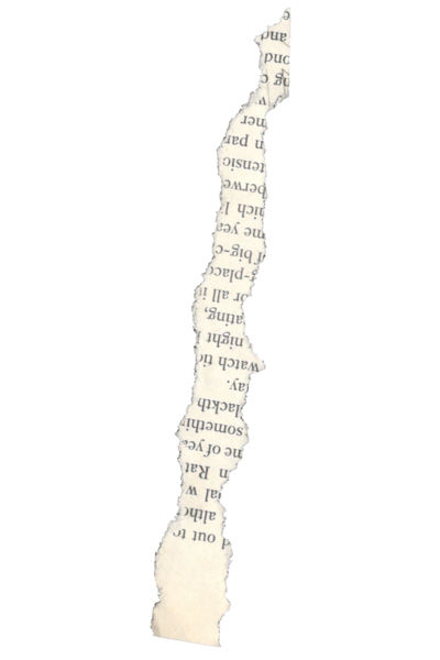 Ripped piece of novel paper