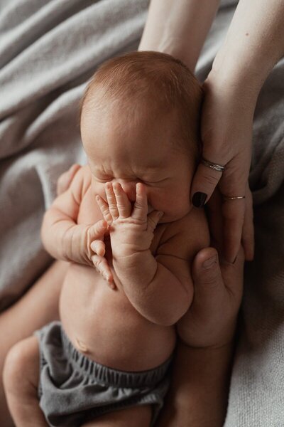 Newborn curled up in hands captured by a Michigan photographer