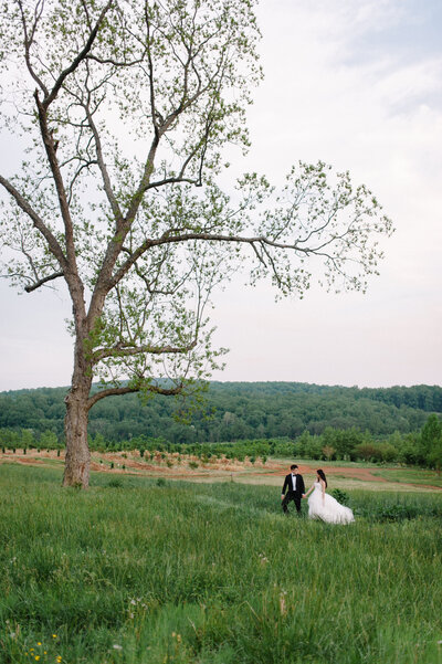 Bride and groom walk up memorial steps at their DC wedding