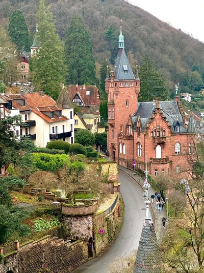 Rhine-River-Cruise-Palms-To-Paris-Travel-41