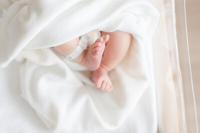 northern virginia studio newborn photographer baby bumps maternity photographer emily gerald portfolio fresh 48 newborns