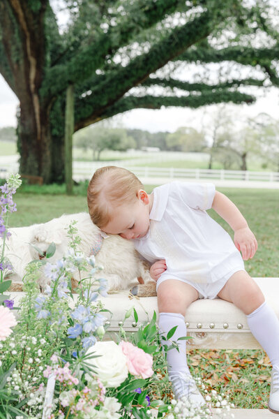 Baby cuddling lamb in a park for lamb mini sessions