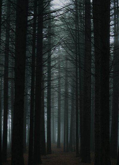 benoumechiaravymen-a3qFQMQtBnQ-unsplash