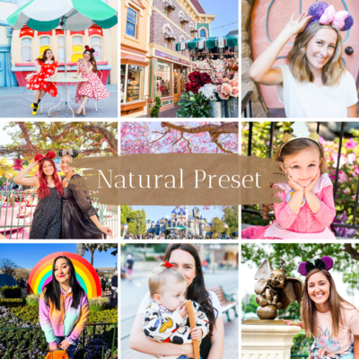 disneyland photo presets for lightroom