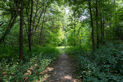 400 Wickham trails (6)