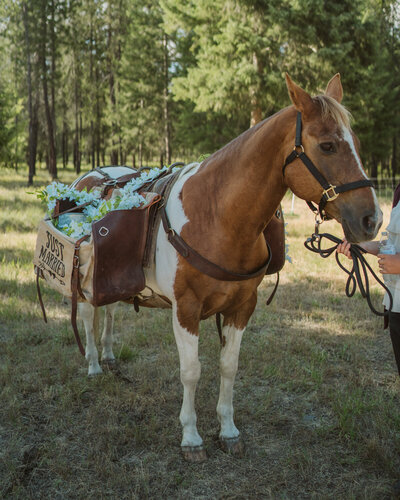 A nature-filled outdoor ceremony in Spokane, highlighting the natural landscape and candid emotion of the day.