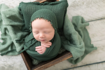Newborn Photo Sessions
