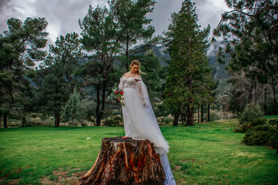 bride stands in phoenix woods