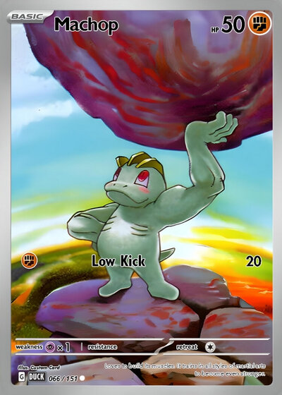 66