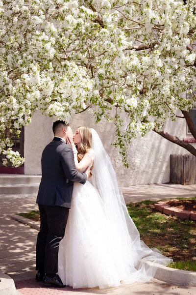 Ella + Dan-93