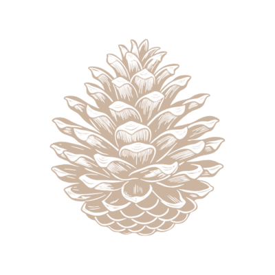 This Showit template for photographers is the ultimate website template for creative professionals. Built for portrait and fashion photographers, this minimalist, film-style template offers a modern, cinematic aesthetic perfect for editorial photography and couples sessions. The customizable photographer website template features sleek design, responsive layouts, and a matching brand kit, making it the ideal choice for those seeking a standout online presence. Elevate your portfolio with this SEO-friendly, easy-to-use Showit template for photographers.