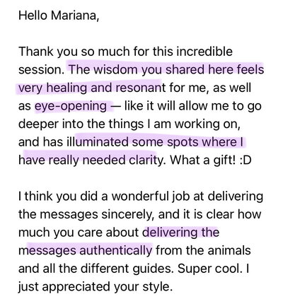 animal communication testimonial