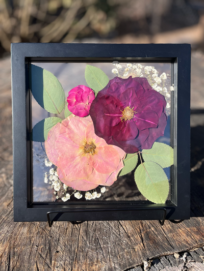 6x6 Pressed Floral Frame