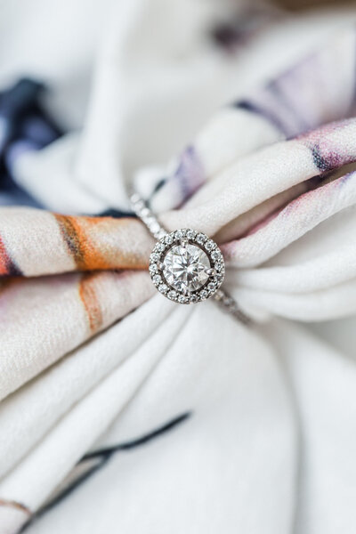 sarah_clint_engaged-3992