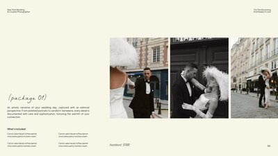 dylan james pricing guide mockup