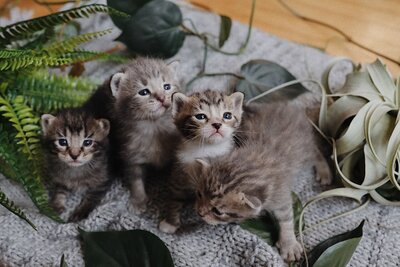 A98629EA-F566-4837-9056-B512A8DD7C86