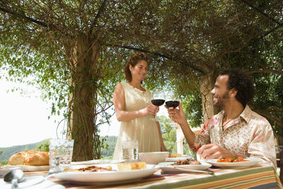 A couple clinks wine glasses at an outdoor table covered with a striped cloth and dishes of food, basking in the bright, cheerful ambiance. Under a leafy pergola, they enjoy a scenic view that suggests the allure of Caribbean getaways.