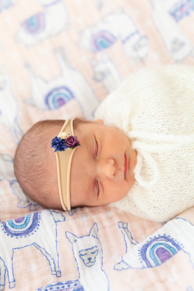Broken Arrow Newborn Photos - Amanda Hitchen Photography-4