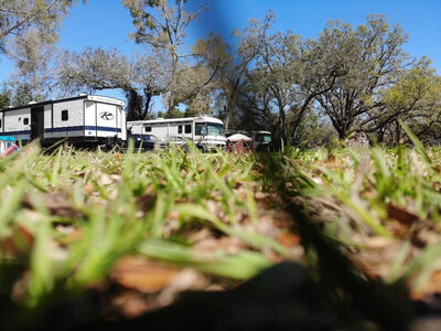 Low-angle view of several RVs parked among trees in a grassy area, likely at one of Mayo Florida campgrounds. The clear blue sky arches overhead while soft-focus green grass dominates the foreground, with tree shadows creating patterns on the ground.