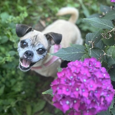 Coco (6)