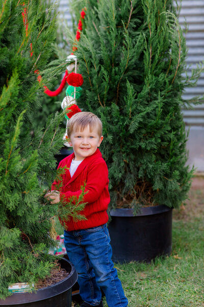 Young boy standing by a Christmas Tree at Chande pines in Georgia