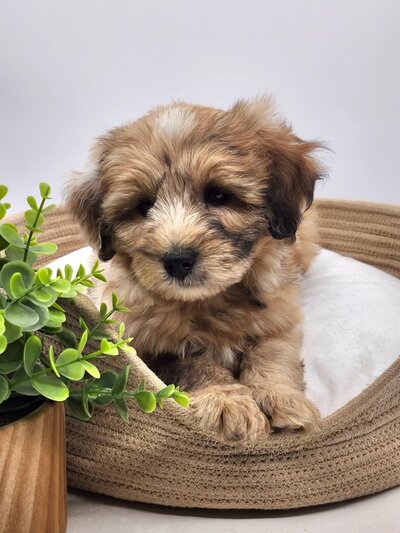 75601ea5-2ac6-4e96-9957-e643fc180a6a