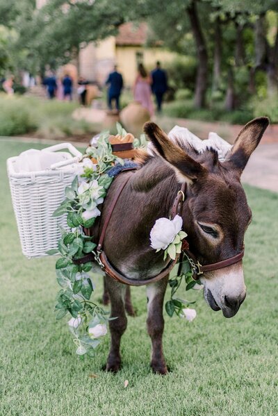 hill-country-texas-wedding-photographer-kayla-newsome-photography_0034