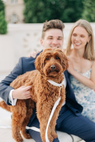 Couple smile as they hold their golden doodle.