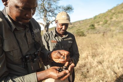 TAASA Lodge safari team