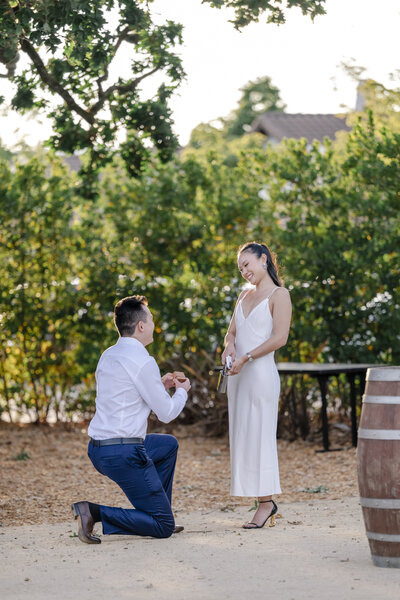 St Helena Wedding Photographer Napa CA