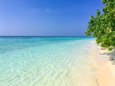 plumeria maldives beach