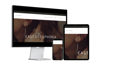 Get a fully customized 5-page Showit website in just 7 days with our VIP Luxe Website in a Week package.