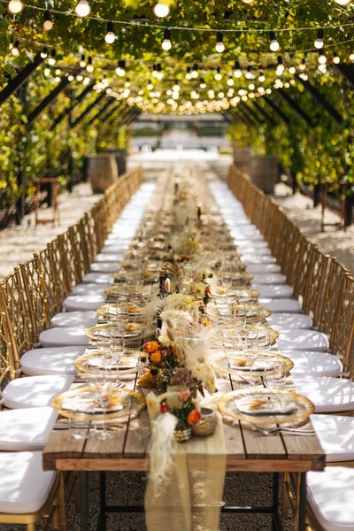 Long wedding table with lights overhead