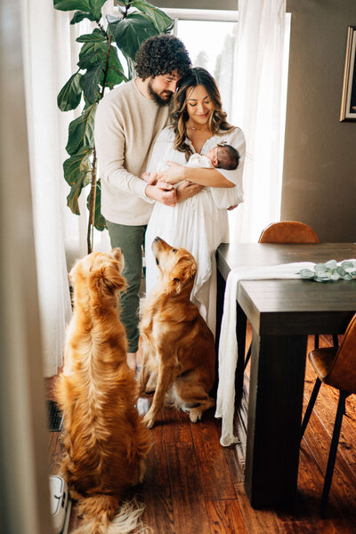 parents kissing while holding their son and daughter on dad's shoulders
