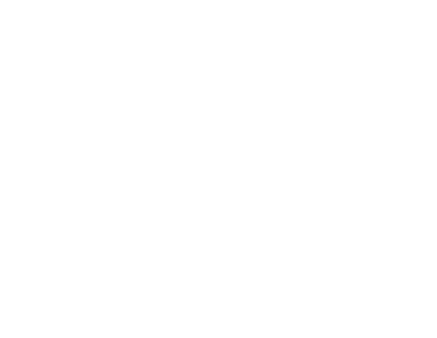 Destiny Pierce Photography logo