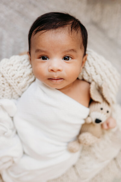 Baby boy wrapped in white swadd;e holds dog stuffed animal while lying in basket.