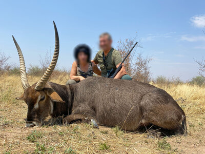 Waterbuck