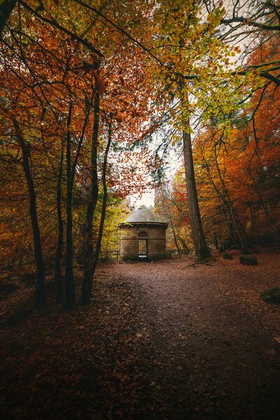 joshua-earle-lJ_PsWG5Hls-unsplash