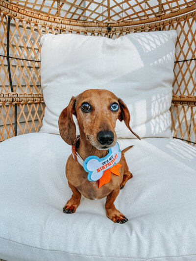 tennessee wedding photographer