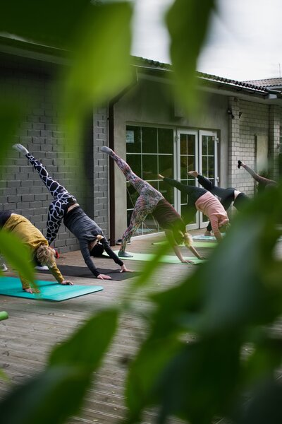 femmes faisant du yoga