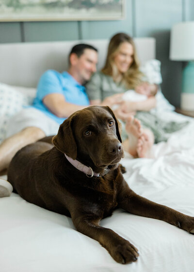 Mom, dad, 2 big brothers, and doodle post with newborn baby boy