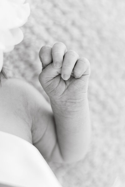 Black and white baby hand close up newborn photo