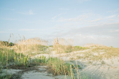 Charleston Photographer