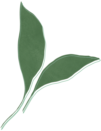 Lori Lubbers Counseling Leaf Element