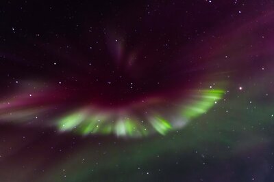 A bride and groom stand looking out at a mountain overlook after eloping. Their arms are wrapped around each other and their backs face the camera. They are standing on a dirt clearing with a large rock nearby and lush green trees. The bride is wearing a fitted white wedding gown and the groom is wearing a navy blue suit.