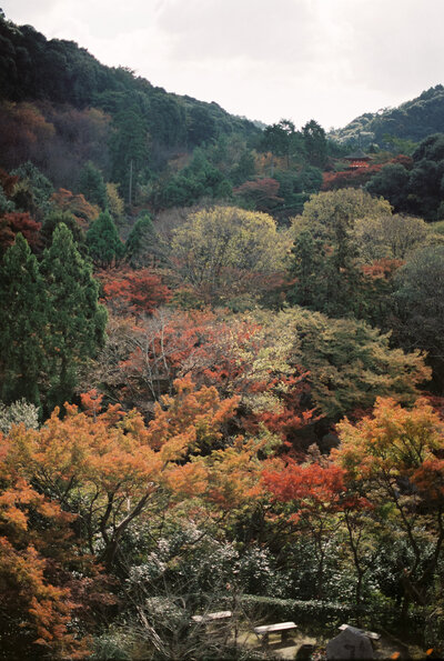 landscape kyoto, japan