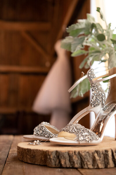 Rhinestone wedding heels resting upon rustic tree pedestal with greenery detail