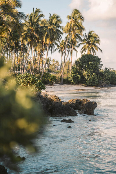 Secluded Caribbean coastline with rugged rocks, swaying palm trees, and lush tropical greenery, evoking a serene and dreamy escape. Tailored Oasis Travel Co.